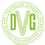 logo DVG